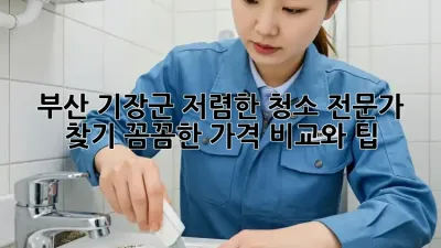부산 기장군 저렴한 청소 전문가 찾기: 꼼꼼한 가격 비교와 팁! ✨